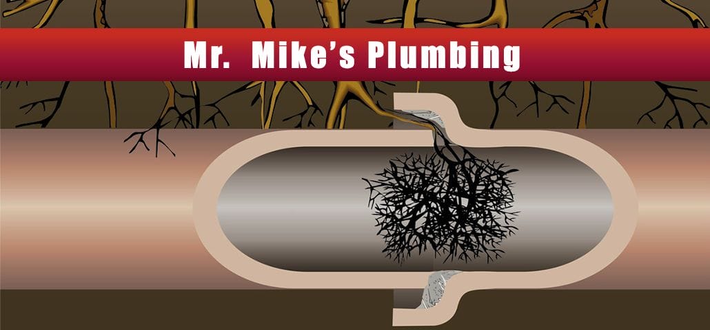 Blocked Sewer Pipe Calgary