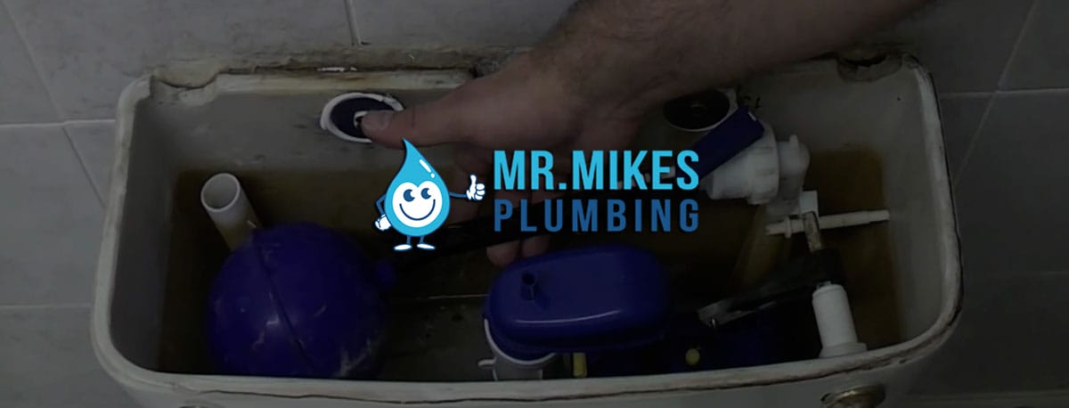 Dual Flush Toilet Cisterns