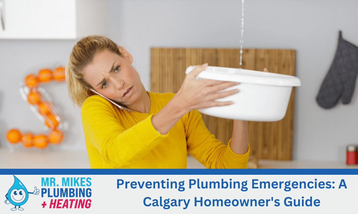 Preventing Plumbing Emergencies