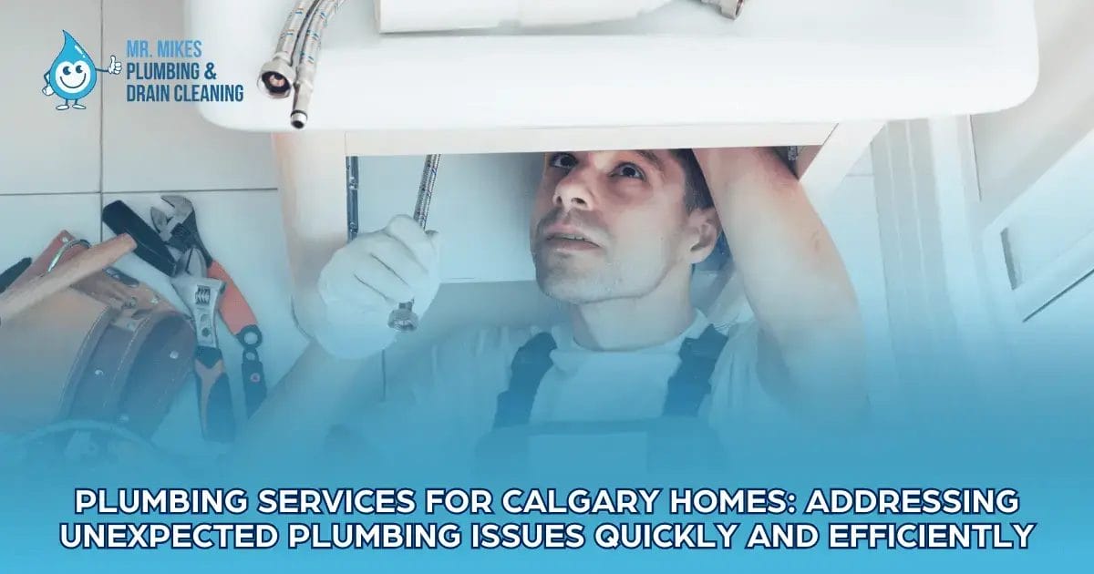 Plumbing Services for Homes
